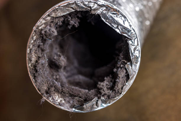 Best Best Air Duct Cleaning Company  in Anamosa, IA