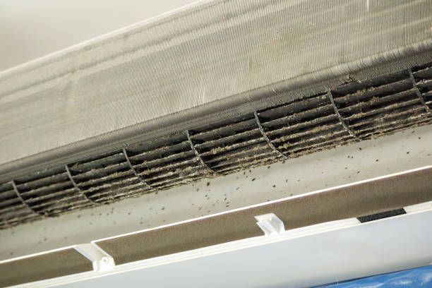 Best Ductwork Cleaning Services  in Anamosa, IA